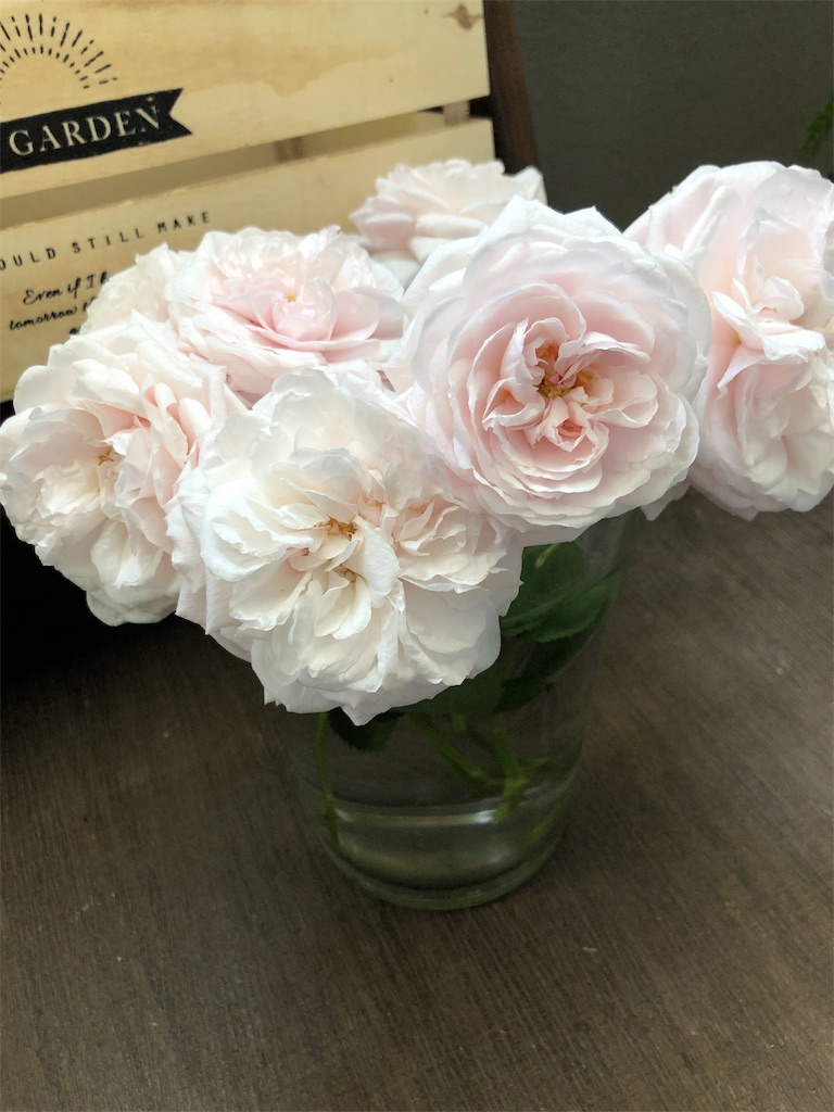 f:id:tef_rose:20190506202806j:image