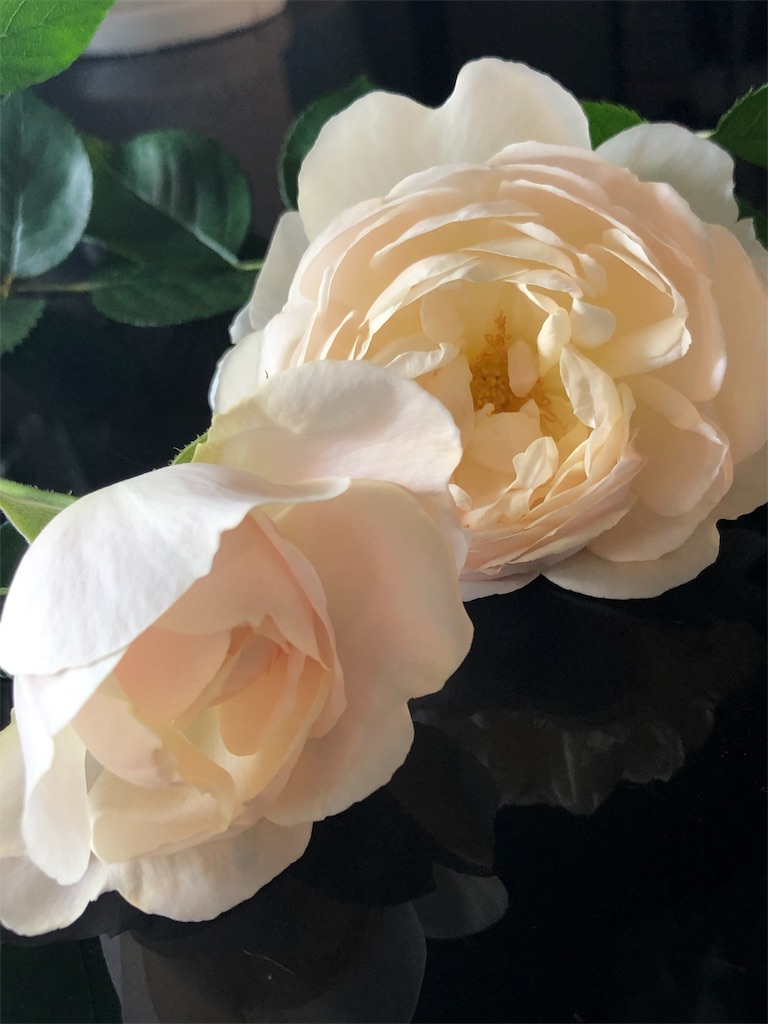 f:id:tef_rose:20190507011334j:image