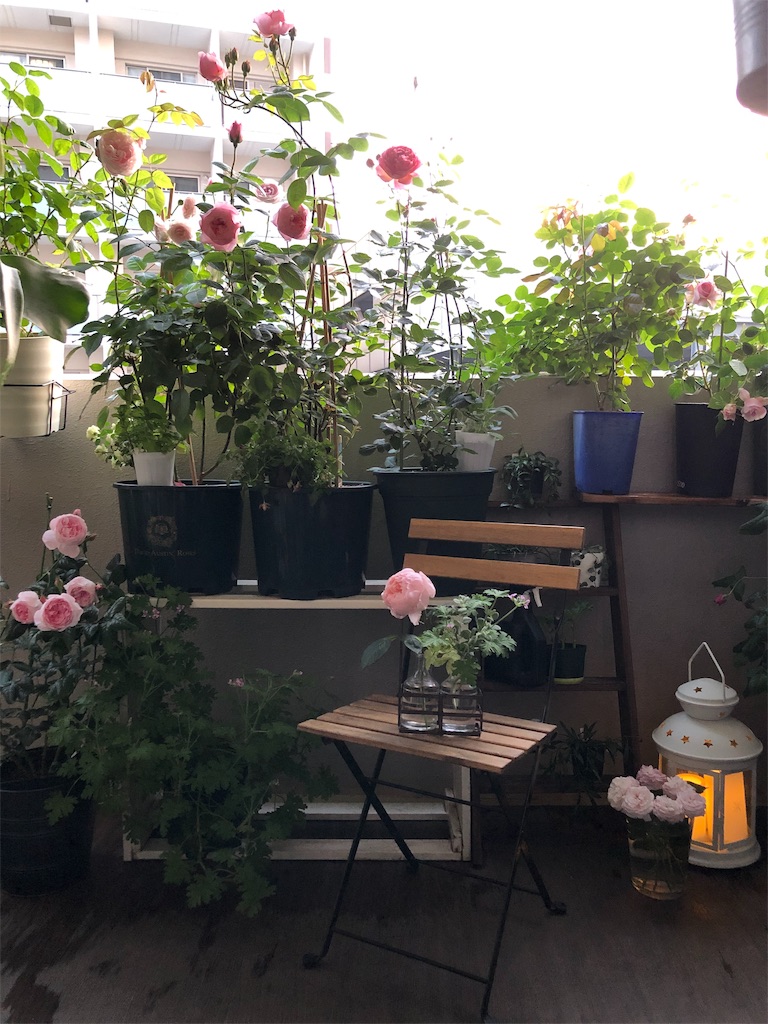 f:id:tef_rose:20190507021937j:image f:id:tef_rose:20190507021937j:image