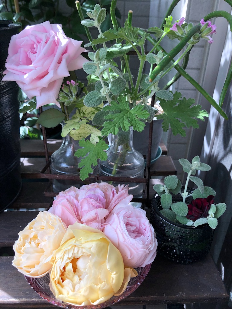 f:id:tef_rose:20190509135812j:image