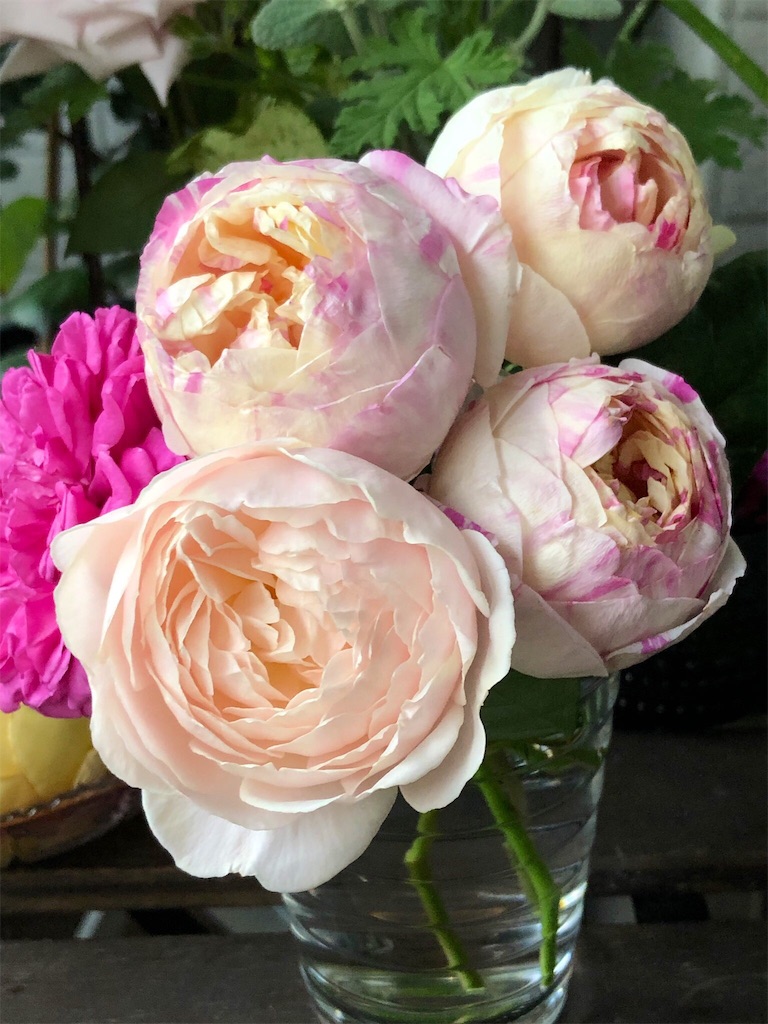 f:id:tef_rose:20190510020828j:image