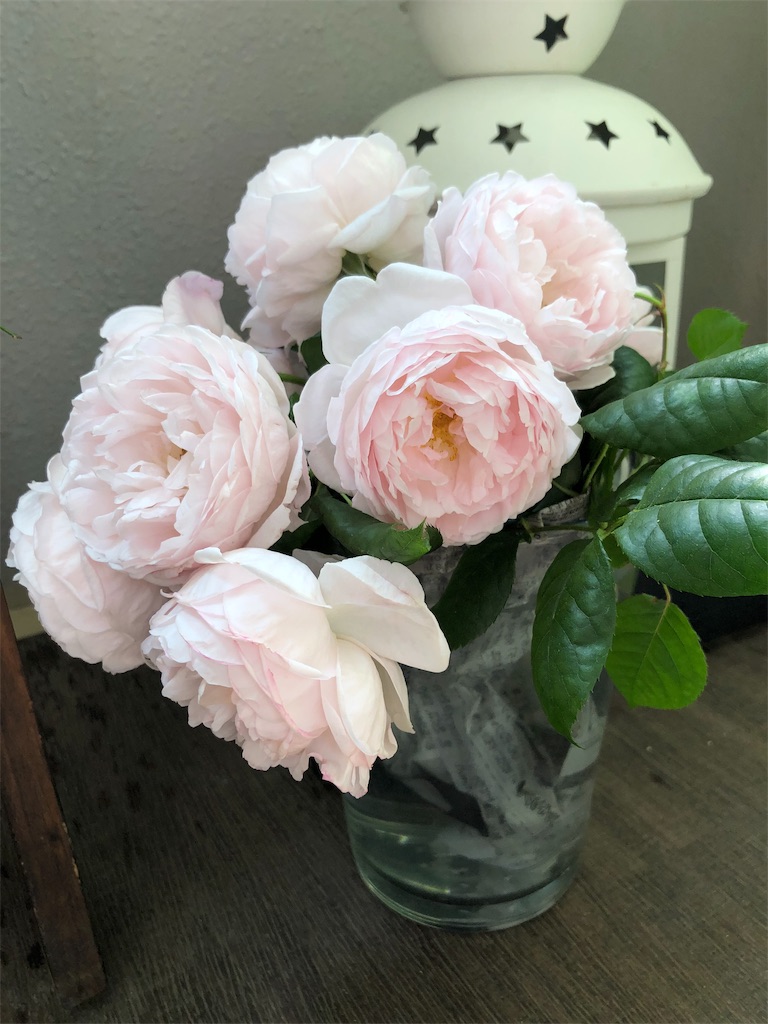 f:id:tef_rose:20190513204311j:image