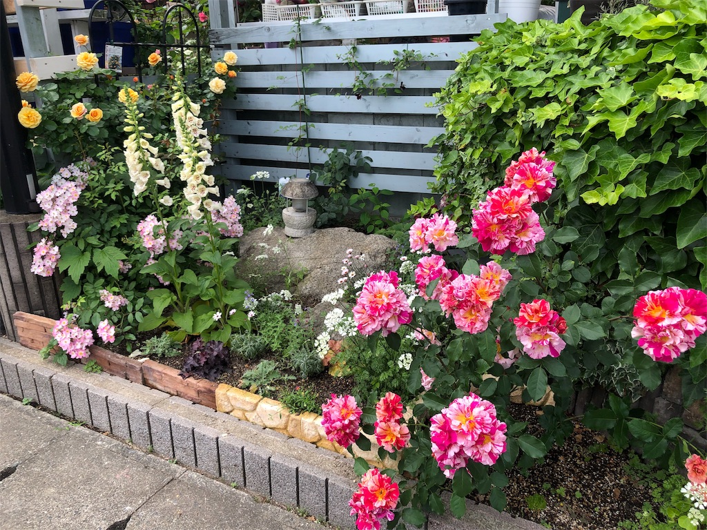 f:id:tef_rose:20190516021628j:image