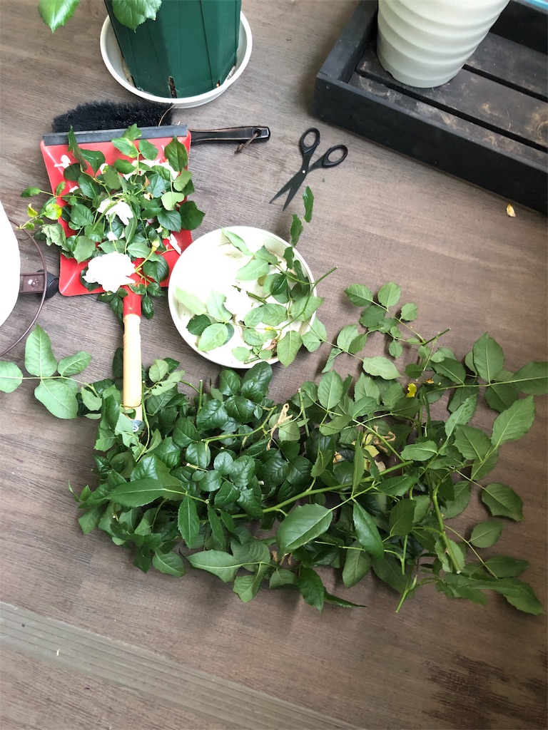 f:id:tef_rose:20190519014655j:image