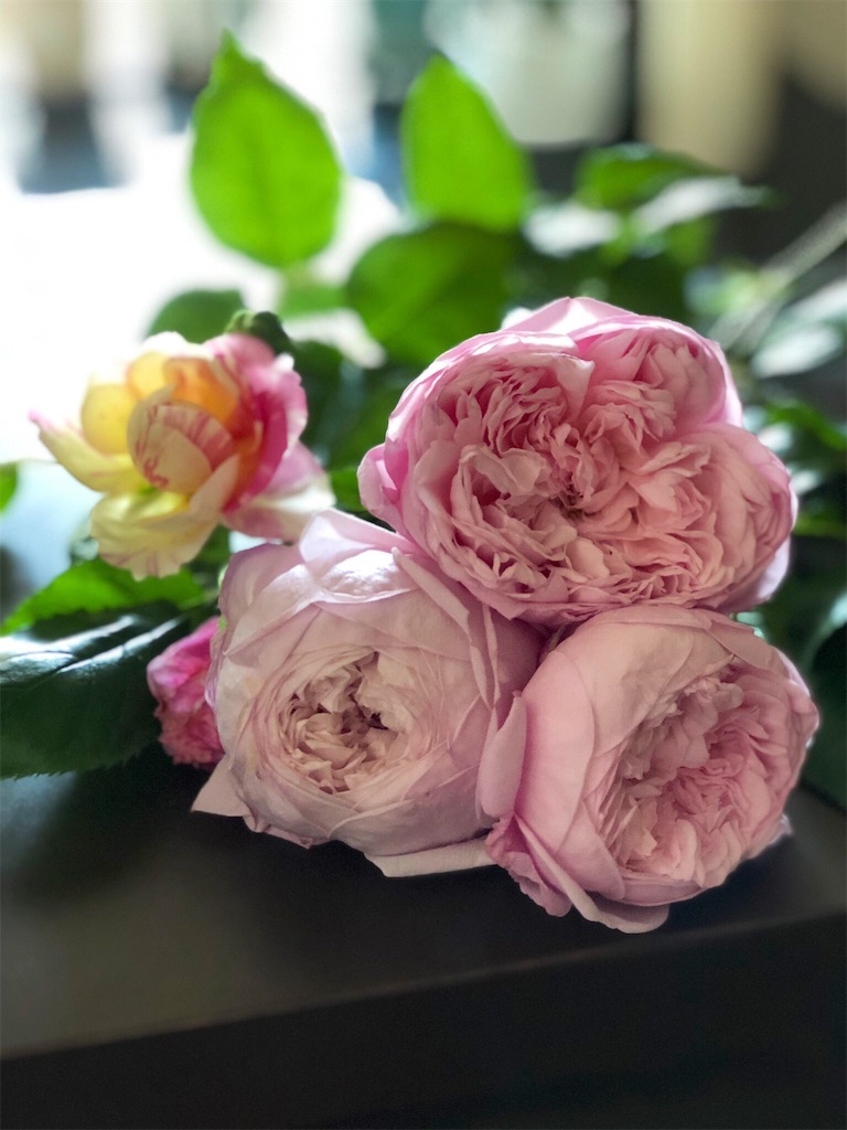 f:id:tef_rose:20190522030904j:image