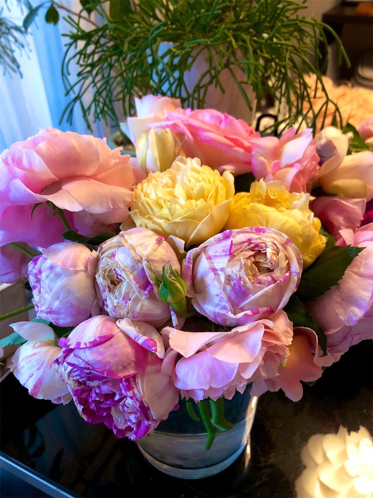 f:id:tef_rose:20190522032233j:image