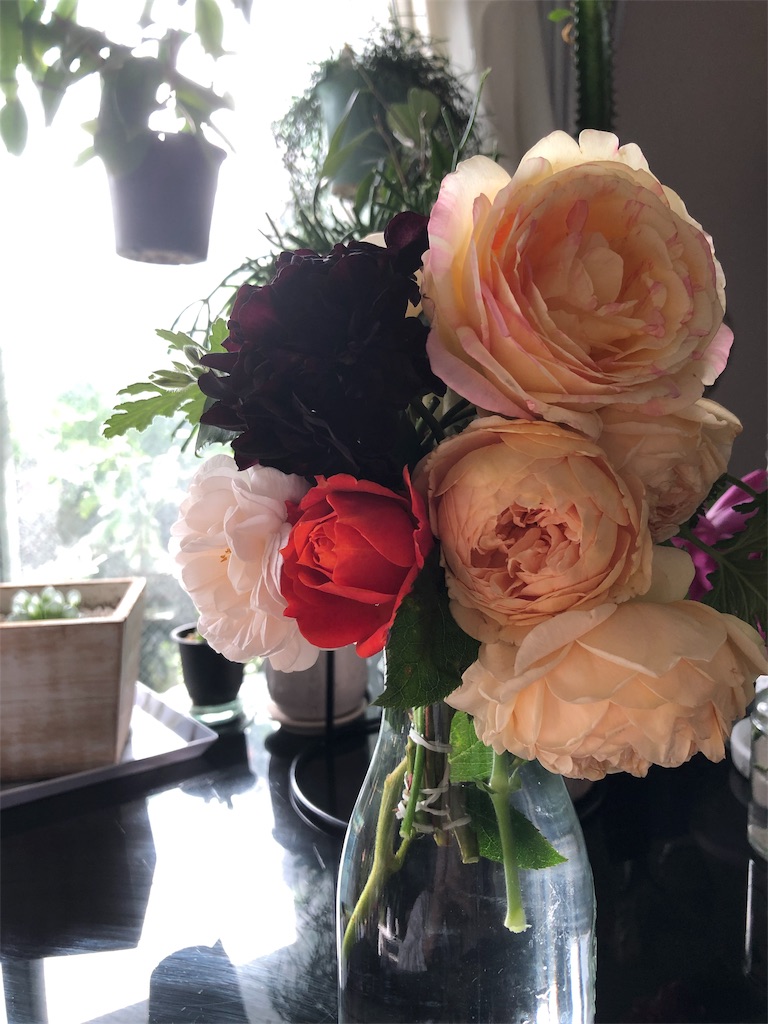 f:id:tef_rose:20190523232404j:image f:id:tef_rose:20190523232404j:image