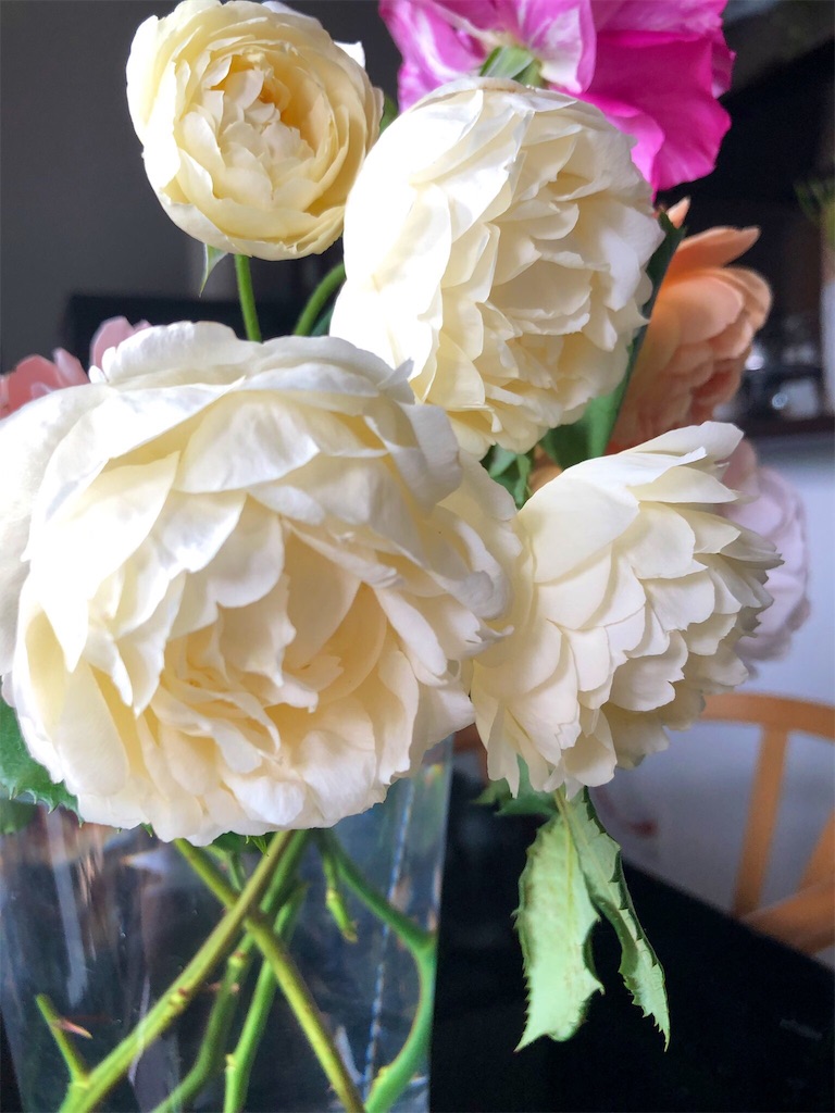 f:id:tef_rose:20190527163151j:image f:id:tef_rose:20190527163151j:image