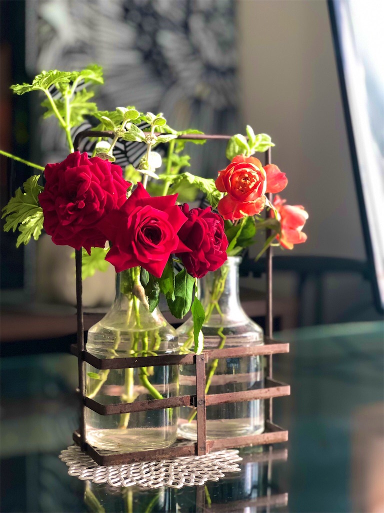 f:id:tef_rose:20190527163154j:image f:id:tef_rose:20190527163154j:image