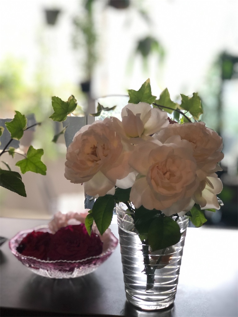 f:id:tef_rose:20190527163206j:image f:id:tef_rose:20190527163206j:image