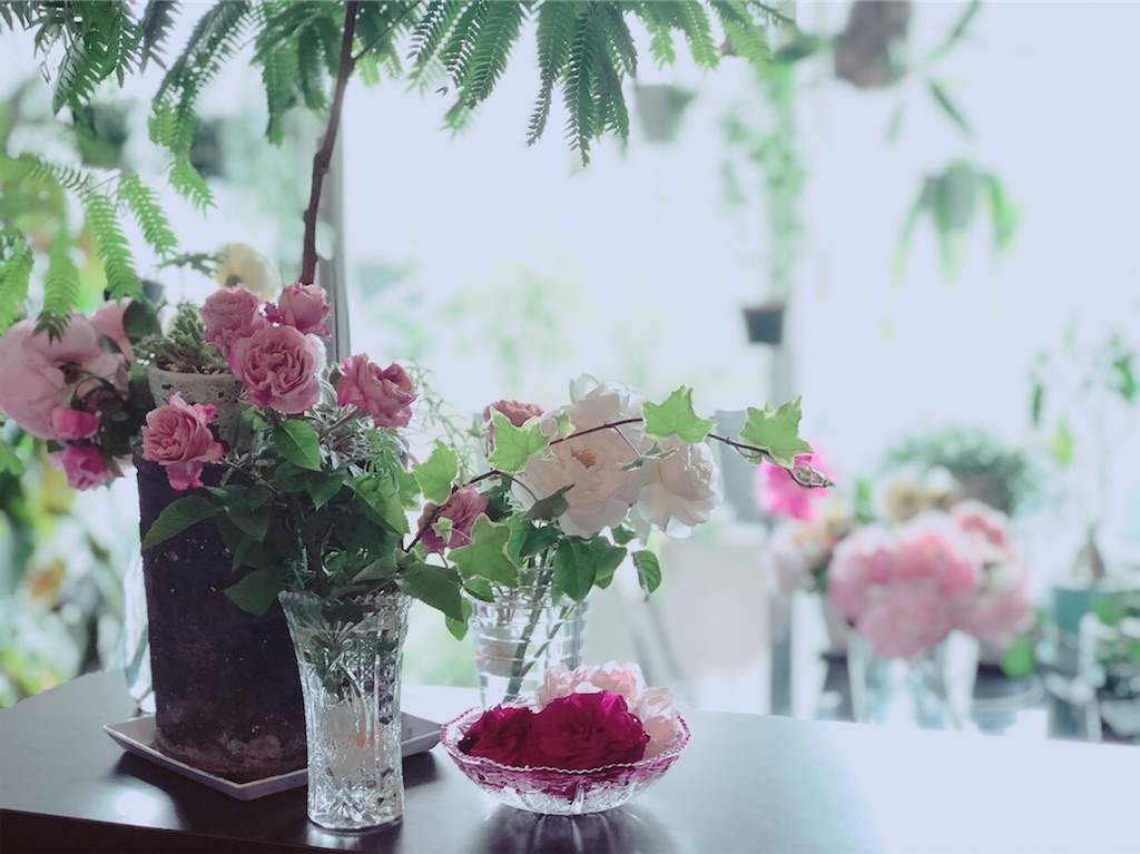 f:id:tef_rose:20190527163209j:image f:id:tef_rose:20190527163209j:image