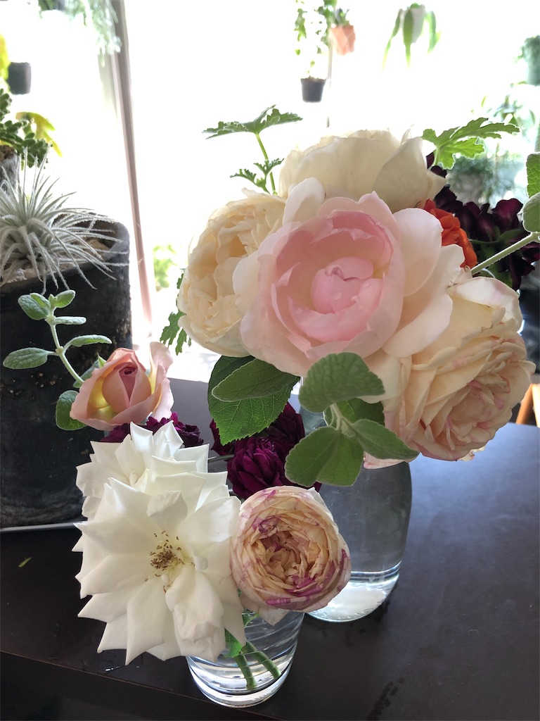 f:id:tef_rose:20190527163212j:image f:id:tef_rose:20190527163212j:image