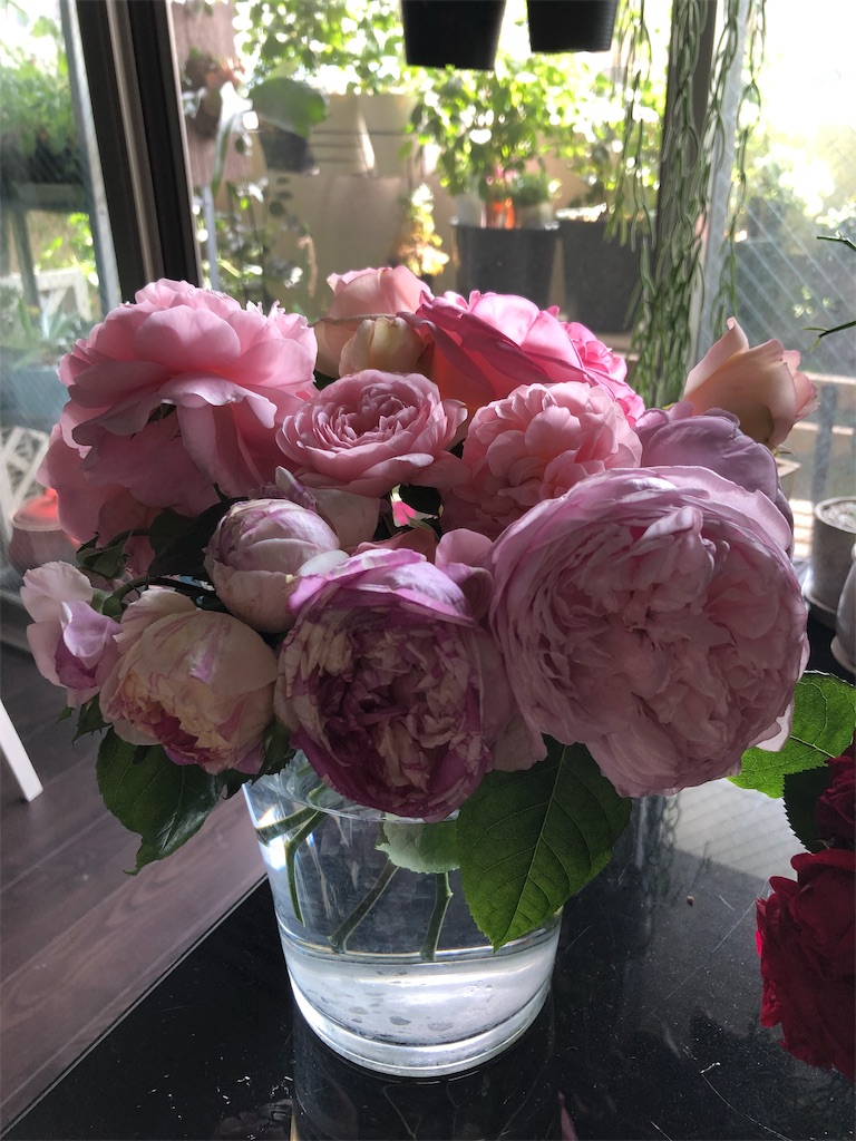 f:id:tef_rose:20190530012817j:image