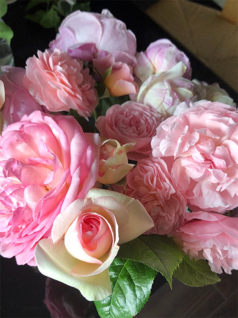 f:id:tef_rose:20190530012820j:image