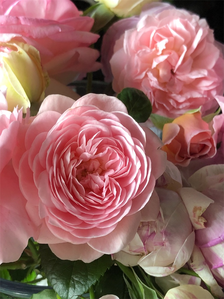 f:id:tef_rose:20190530012824j:image