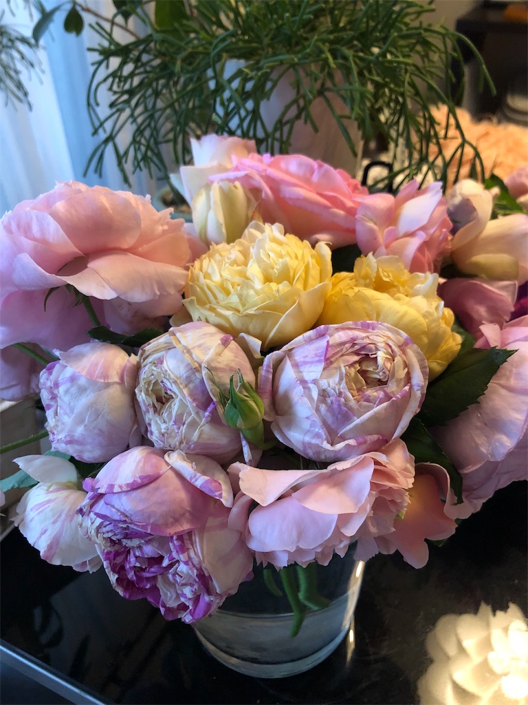 f:id:tef_rose:20190530012830j:image