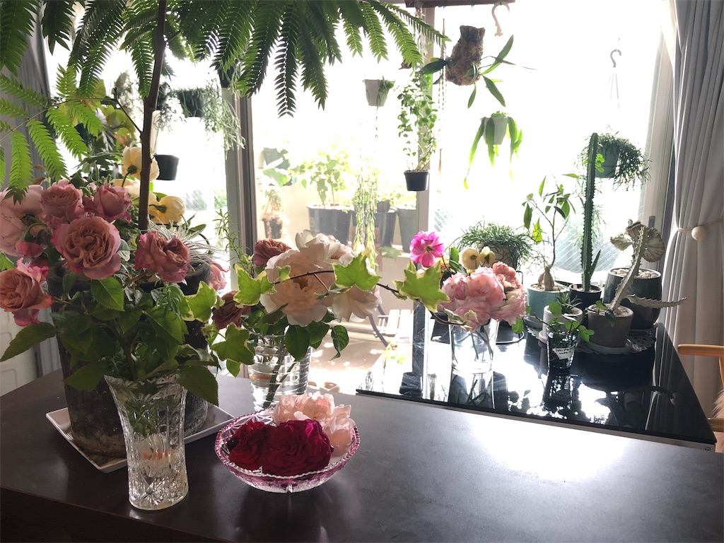 f:id:tef_rose:20190602014546j:image