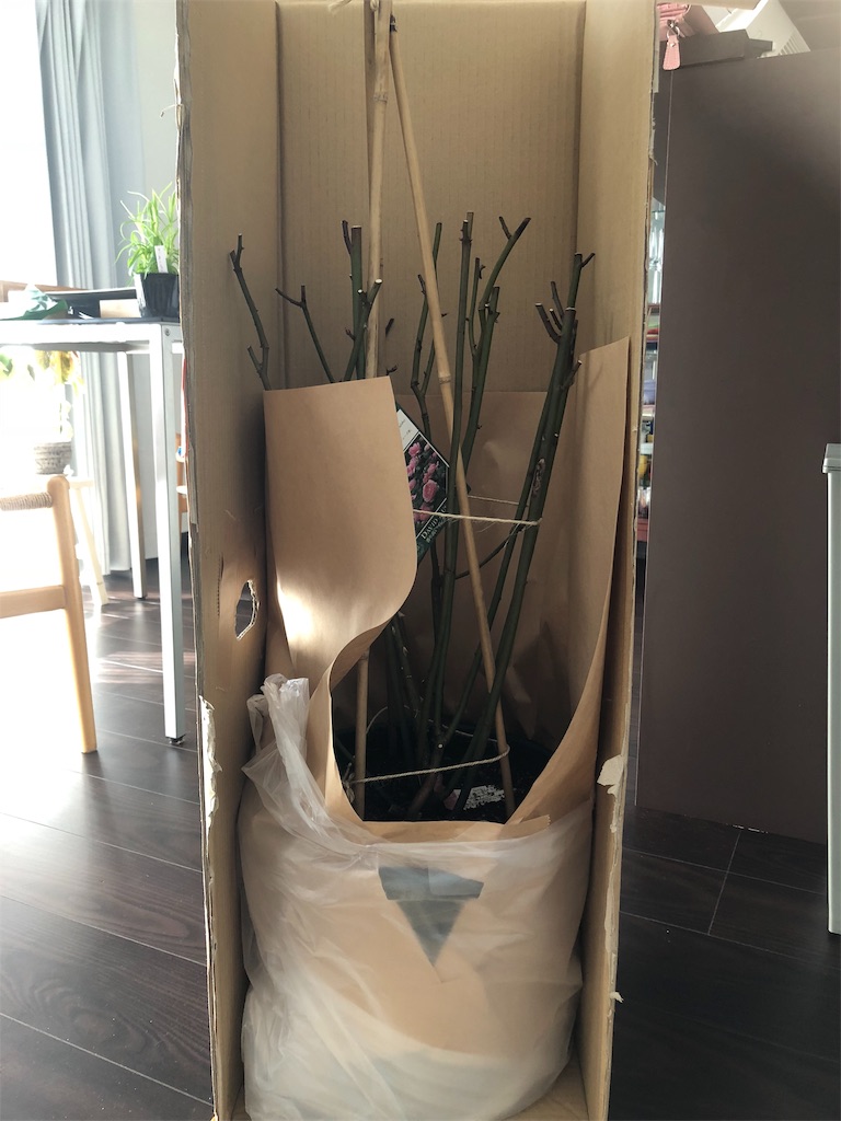 f:id:tef_rose:20190603190441j:image