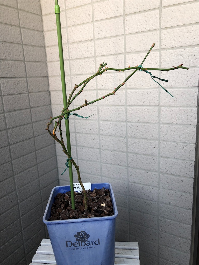 f:id:tef_rose:20190603234900j:image