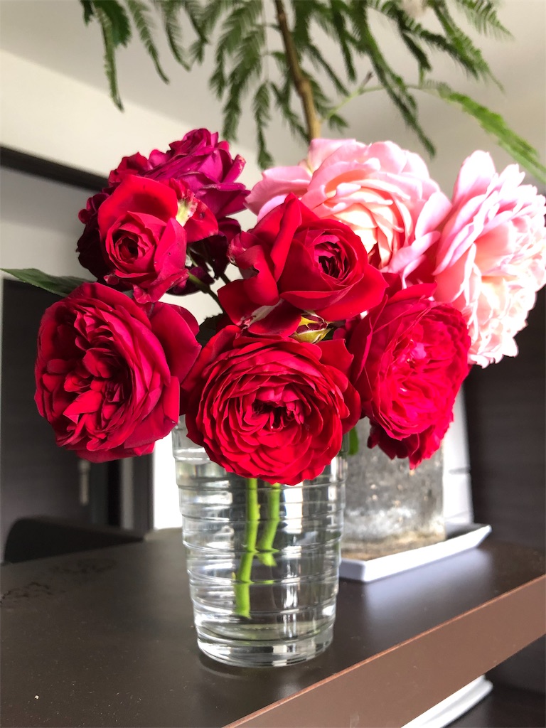f:id:tef_rose:20190603235158j:image