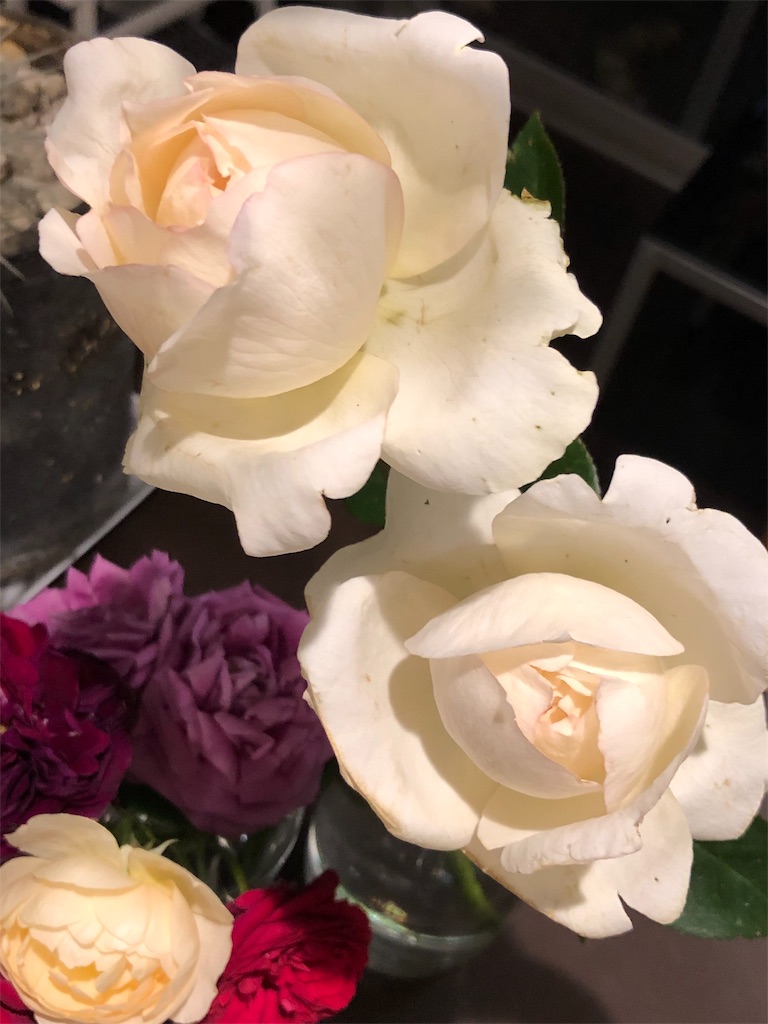 f:id:tef_rose:20190604022359j:image