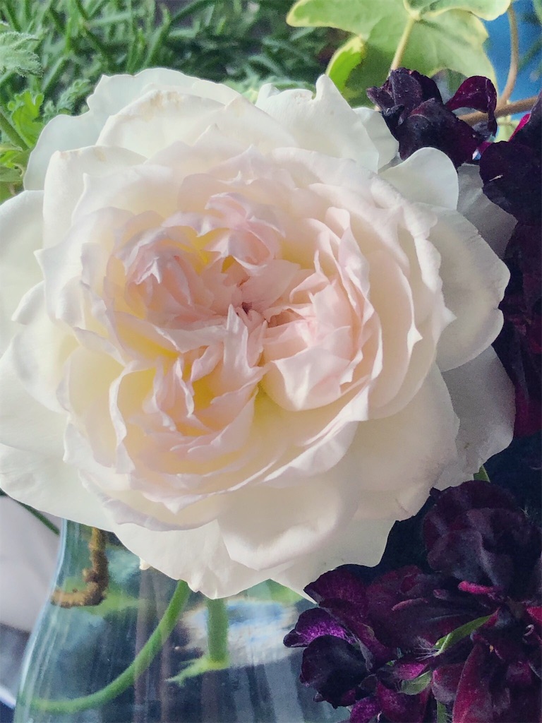 f:id:tef_rose:20190609033957j:image