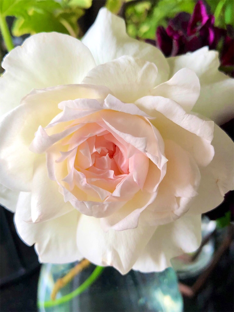 f:id:tef_rose:20190614033115j:image