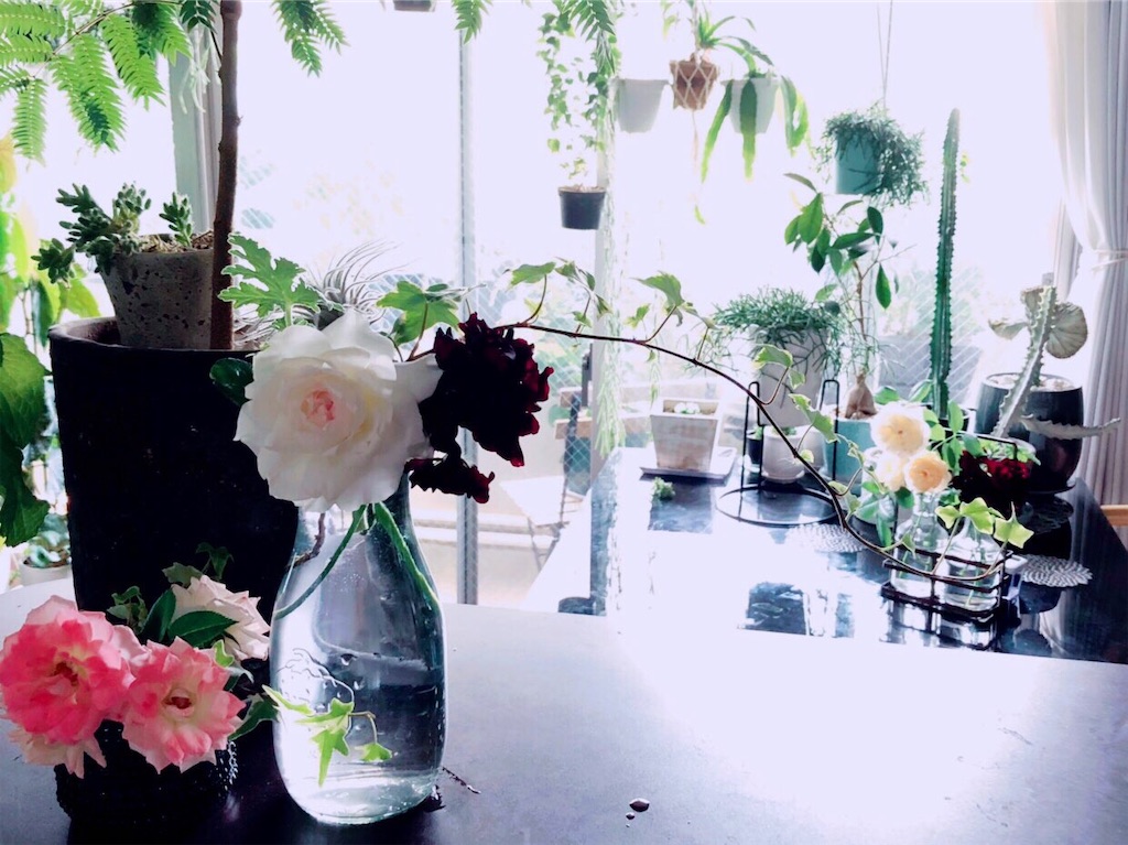 f:id:tef_rose:20190616113209j:image