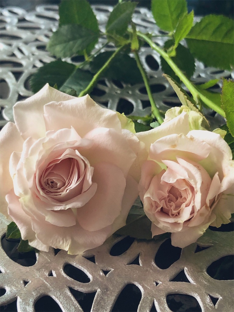 f:id:tef_rose:20190622032454j:image f:id:tef_rose:20190622032454j:image