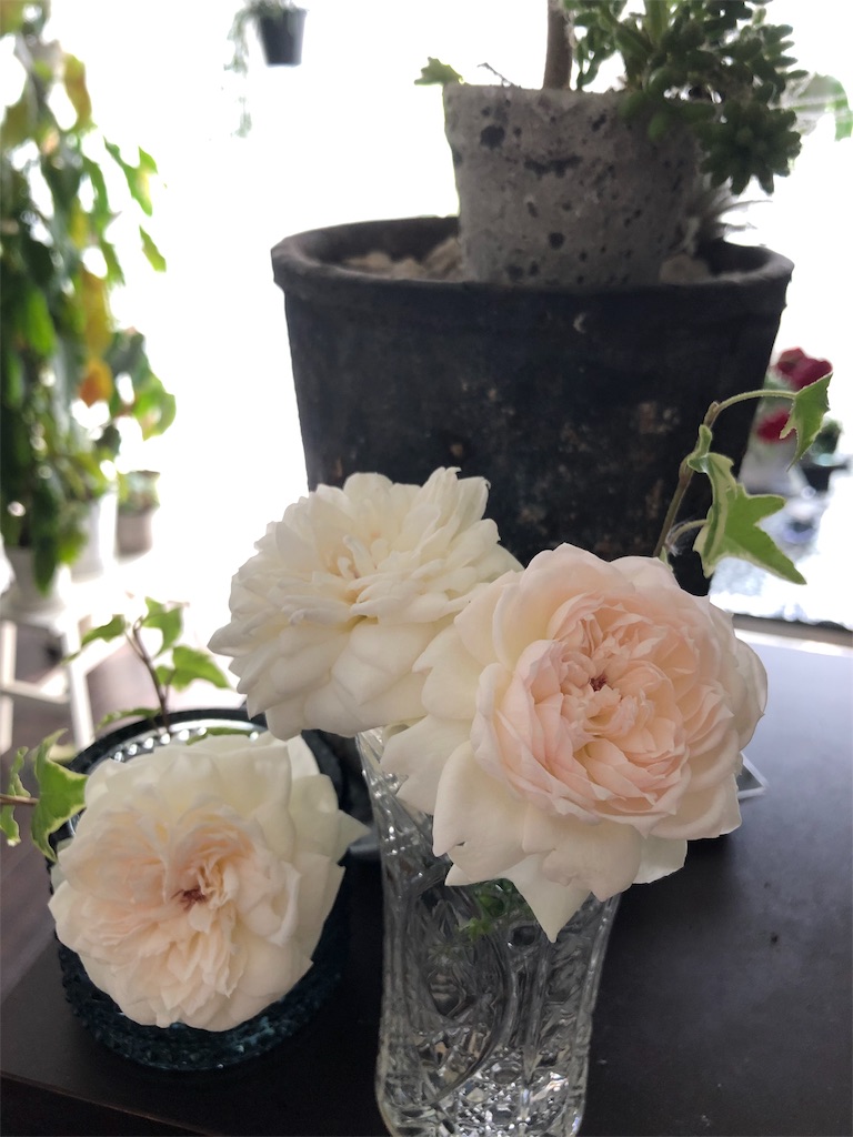 f:id:tef_rose:20190622032503j:image f:id:tef_rose:20190622032503j:image