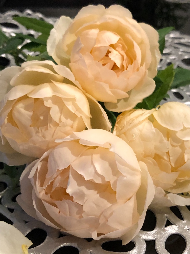 f:id:tef_rose:20190816142432j:image f:id:tef_rose:20190816142432j:image