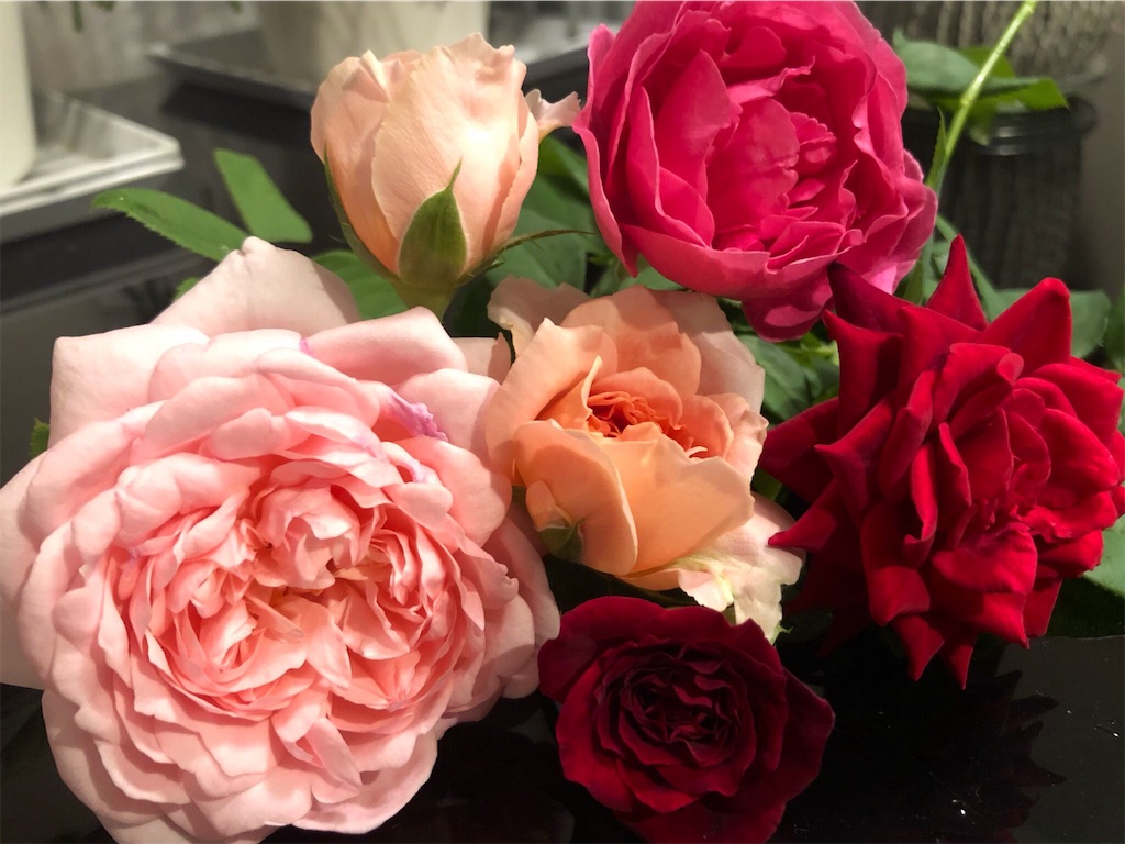 f:id:tef_rose:20190816142436j:image f:id:tef_rose:20190816142436j:image