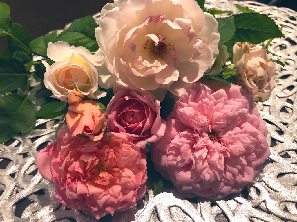 f:id:tef_rose:20190816142441j:image f:id:tef_rose:20190816142441j:image