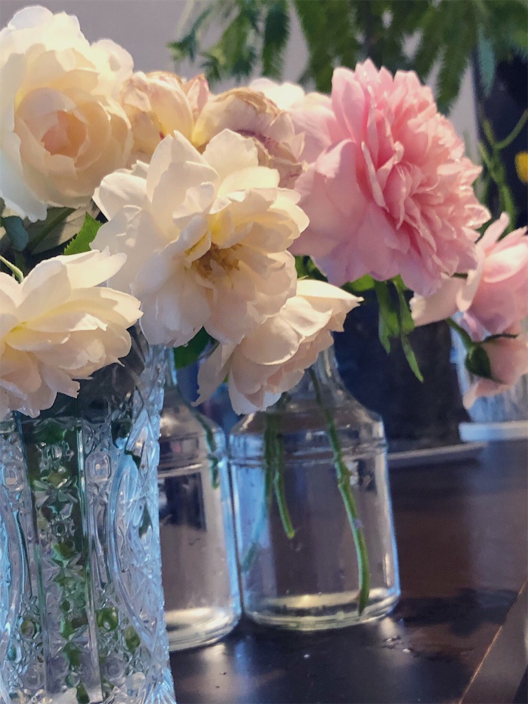 f:id:tef_rose:20190816142450j:image f:id:tef_rose:20190816142450j:image