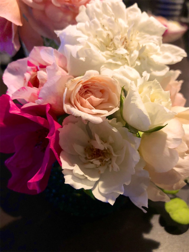 f:id:tef_rose:20190816142457j:image f:id:tef_rose:20190816142457j:image