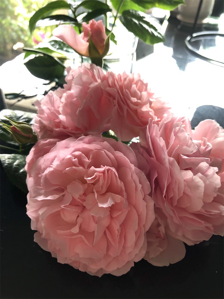 f:id:tef_rose:20190820030415j:image