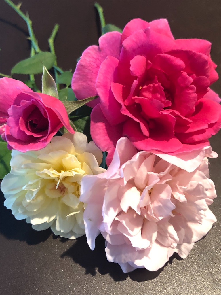 f:id:tef_rose:20190821195923j:image