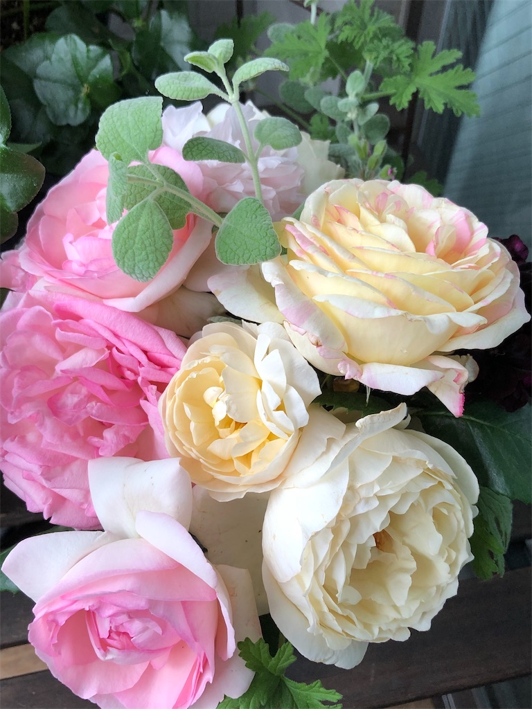 f:id:tef_rose:20190823042238j:image
