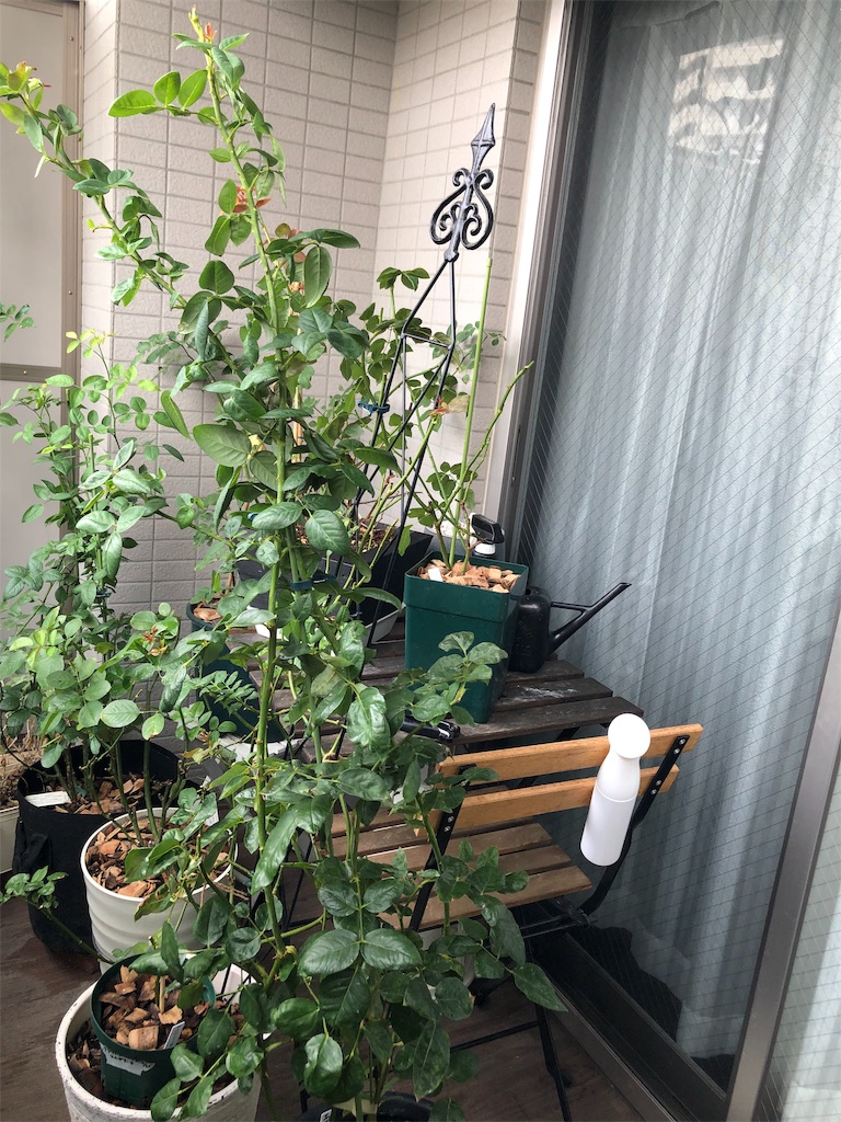 f:id:tef_rose:20190826193305j:image