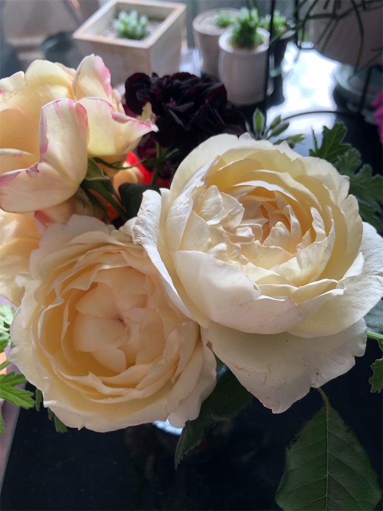 f:id:tef_rose:20190828033449j:image