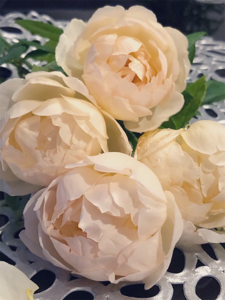 f:id:tef_rose:20190828033746j:image
