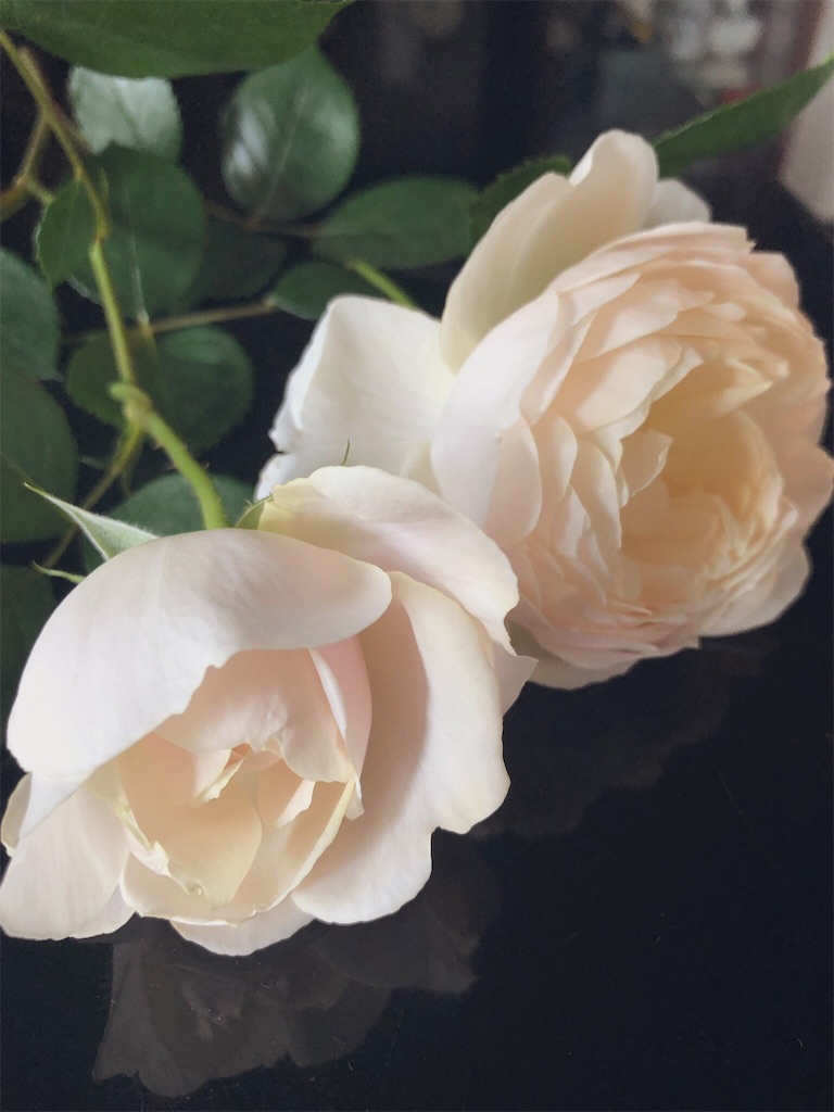 f:id:tef_rose:20190828034646j:image