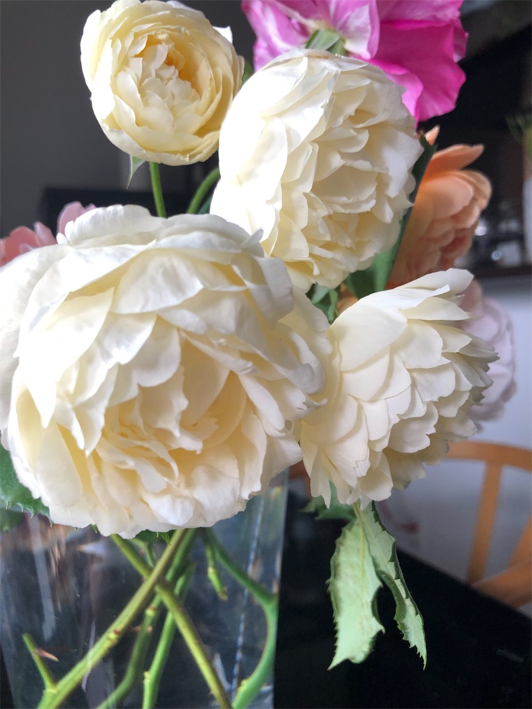f:id:tef_rose:20190829044150j:image