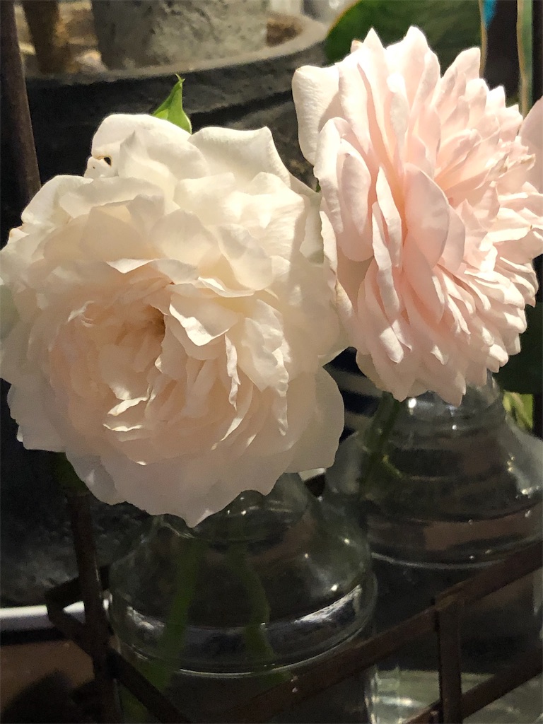 f:id:tef_rose:20190901212544j:image