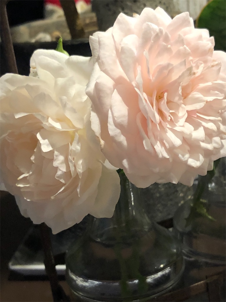 f:id:tef_rose:20190901212615j:image