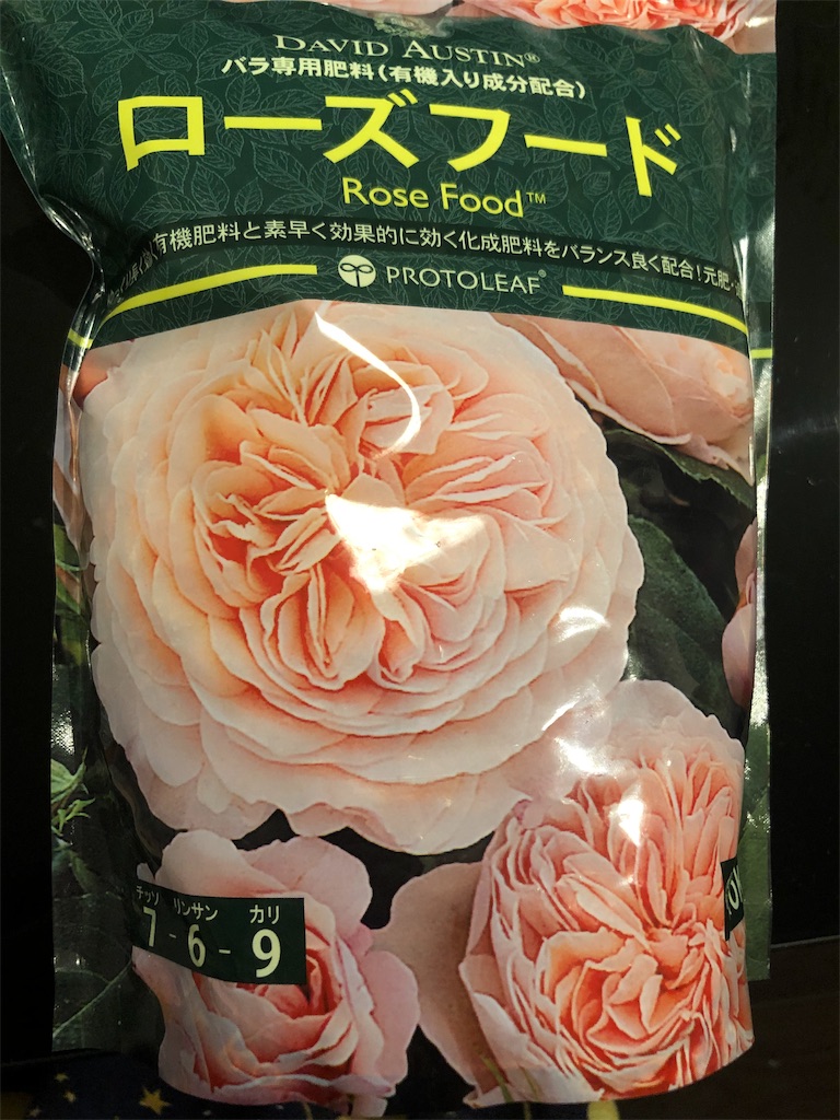 f:id:tef_rose:20190901212715j:image