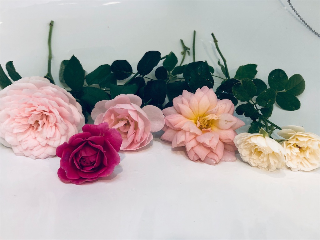 f:id:tef_rose:20190902100923j:image