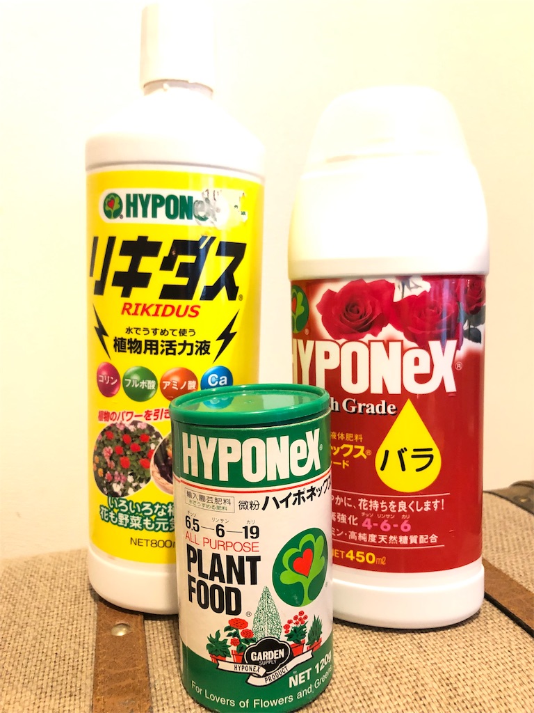 f:id:tef_rose:20190902104645j:image