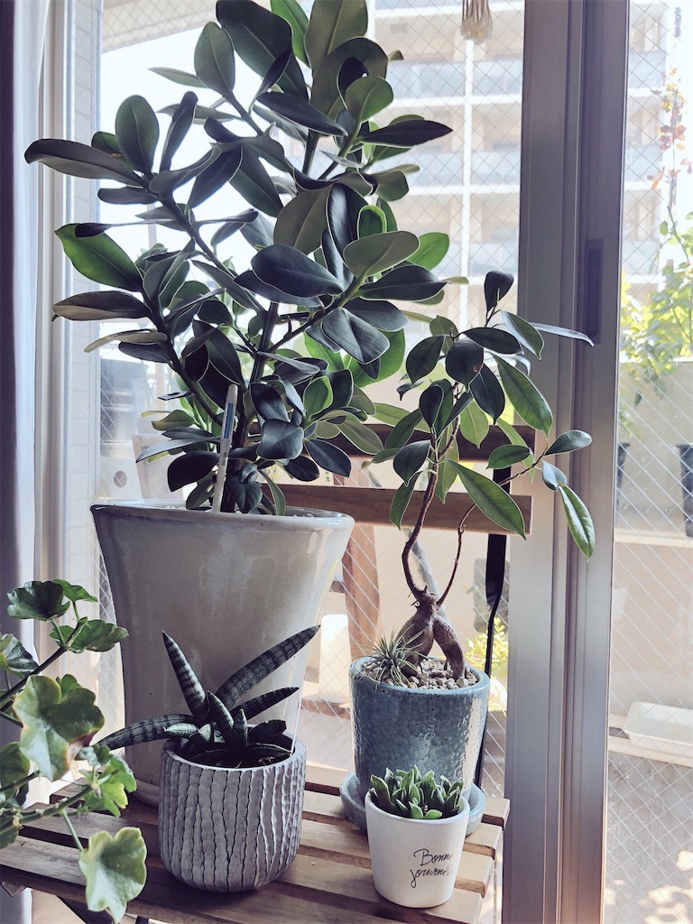 f:id:tef_rose:20190909032623j:image