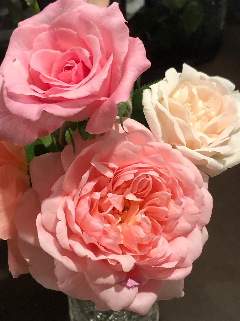 f:id:tef_rose:20190910152545j:image